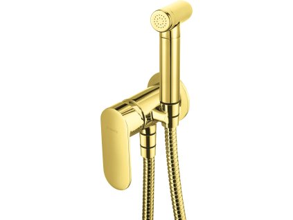 Deante Alpinia bidetová podomítková baterie se sprchou, zlatá, BGA_Z34M