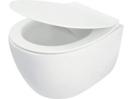 9066 silia