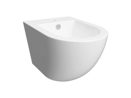 8748 ottawa bidet