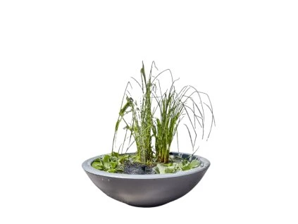 2365 1 navrh bez nazvu 44