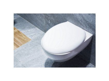 wc sedatko boston