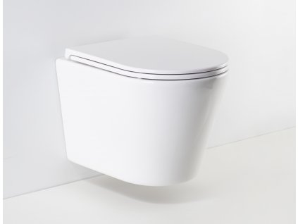 HOPA závěsné WC OVALE BASSO RIMLESS s FLAT sedátkem Soft-close, OLKLT053ER