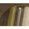 BESCO Walk-in sprchový kout VAYO GOLD Barva rámu - Zlatá, Rozměr A - 110, Rozměr C - 200, Směr zavírání - Univerzální Levé / Pravé, Výplň - Čiré bezpečnostní sklo - 8 mm BCVAYO110GC