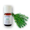 ARTTEC přírodní vonný olej Tymián thujanol de Provence 5 ml NAT00027