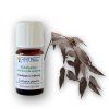 485 1 arttec prirodni vonny olej eukalyptus blahovicnik matovy 10 ml