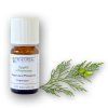 308 1 arttec prirodni vonny olej cypris de provence bio 5 ml