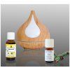 4970 6 aroma difuzer aromaterapie etericke oleje