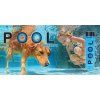 g 2576 pool refresh scaled 600x600