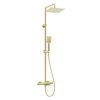 Deante Nemo sprchový set s vanovou termostatickou baterií, broušené zlato, NAC_R1HT