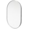 Mereo Mereo zrcadlo oválné 50x80 cm, LED osvětlení, ocelově šedý rám, II. jakost, drobné škrábance rámu CN170S2J