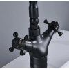 24907 2 rustico black2