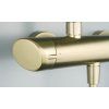 24606 1 arnika sprchovy set brousene zlato