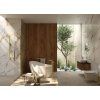 24606 4 arnika sprchovy set brousene zlato