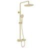 24606 arnika sprchovy set brousene zlato