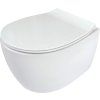 9066 1 silia1