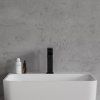 9018 1 baretti1