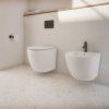 8322 4 ottawa bidet1
