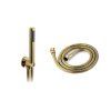 3795 1 4873 1 gold edition lungo vanova baterie