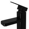 2832 2 2923 2 black edition caro umyvadlova baterie