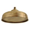 Sapho ANTEA hlavová sprcha, průměr 300mm, bronz SOF3006
