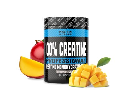 100% Creatine Professional - Protein Nutrition (Balení 500 g, Příchuť Neutral)