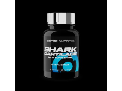 6b513e12 fcc2 4faa a87b db1684f5f7c0