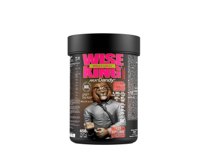 WISEKING II HOLLY LOLLI 450G