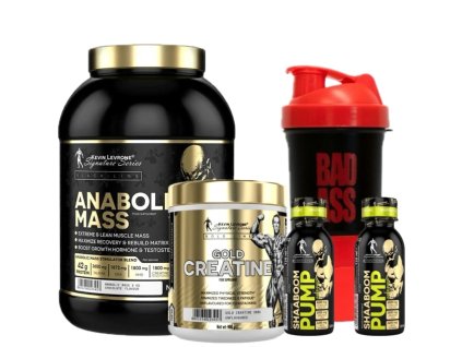 AKCE Kevin Levrone Mass 3000 g + Gold Creatine 300 g + ZDARMA Šejkr + 2x vzorek