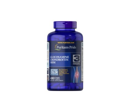 PP DOUBLE GLUCCOND MSM 480Tabs