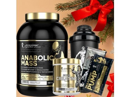 AKCE Kevin Levrone Mass 3000 g + Gold Creatine 300 g + ZDARMA Šejkr 500 ml + 2x vzorek (Příchuť Vanilka)