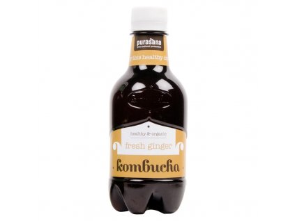 Kombucha BIO 330ml ginger