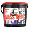 Whey Mass Gain - Megabol (Příchuť vanilka, Balení (g) 3000 g)