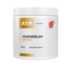 ATP Vitality Magnesium Drink 300 g malina (Příchuť mango)