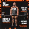 Universal Nutrition Animal Fury 495 g