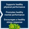 LE Rhodiola Extract 250 mg 02