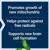 LE Mitochondrial Basics with PQQ 02