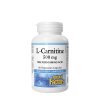 Natural Factors L-Carnitine 500 mg 60 kapslí
