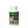 Natural Factors Lactase Enzyme 60 kapslí