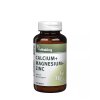 Vitaking CalMag-Zinc Calcium +Magnesium +Zinc 100 Tablet