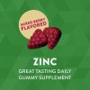 Nature's Way Zinc Gummies 120 gummies (Příchuť Směs lesních plodů)