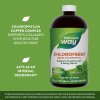 Nature's Way Chlorofresh® Liquid Chlorophyll 480 ml (Příchuť Máta)