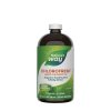 Nature's Way Chlorofresh® Liquid Chlorophyll 480 ml (Příchuť Máta)