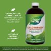 Nature's Way Chlorofresh® Liquid Chlorophyll 480 ml (Příchuť Máta)