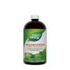 Nature's Way Chlorofresh® Liquid Chlorophyll 480 ml (Příchuť Máta)