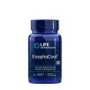 02033 EsophaCool 60 chewable tablets