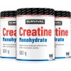 Survival Creatine Monohydrate - 500 g (Velikost 500 g)