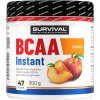 Survival BCAA Instant - 300 g, meloun (Příchuť meloun, Velikost 300 g)