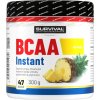 Survival BCAA Instant - 300 g, meloun (Příchuť meloun, Velikost 300 g)