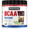 Survival BCAA Instant - 300 g, meloun (Příchuť meloun, Velikost 300 g)