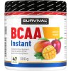 Survival BCAA Instant - 300 g, meloun (Příchuť meloun, Velikost 300 g)